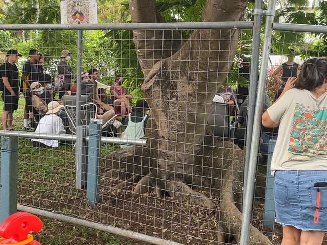 A protest at a community garden in West End.