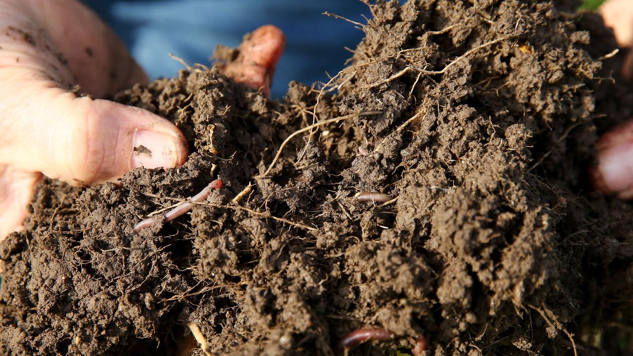 Now patented in 47 countries, Niels’ Soilkee Renovator aerates the soil with minimal pasture disturbance, burying organic matter and top-dressing with soil while drilling seed into rows. Picture: Andy Rogers