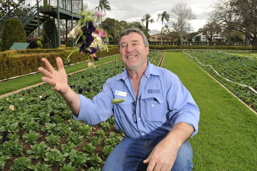 Council gardener Frieldhelm Karl Grams throws some pansies in the air at Laurel Bank park. . Picture: Dave Noonan