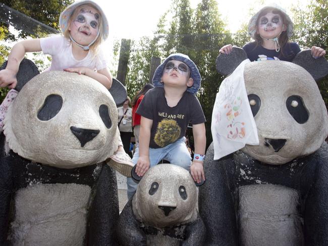 Teddy Bears Picnic at The Adelaide Zoo Picture: Brett Hartwig