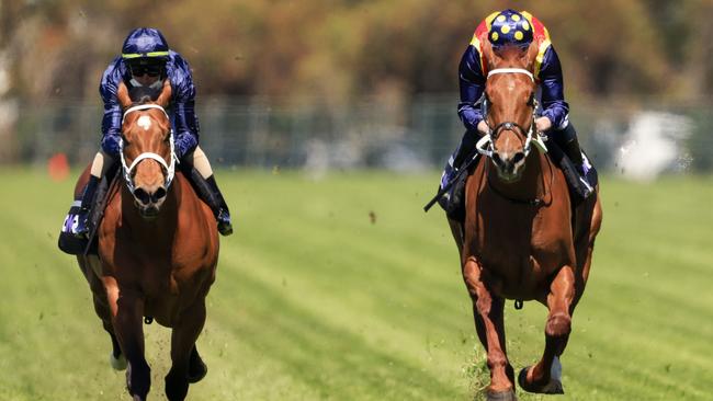 Home Affairs is looking to become the second three-year-old to win the Everest. Picture: Getty Images