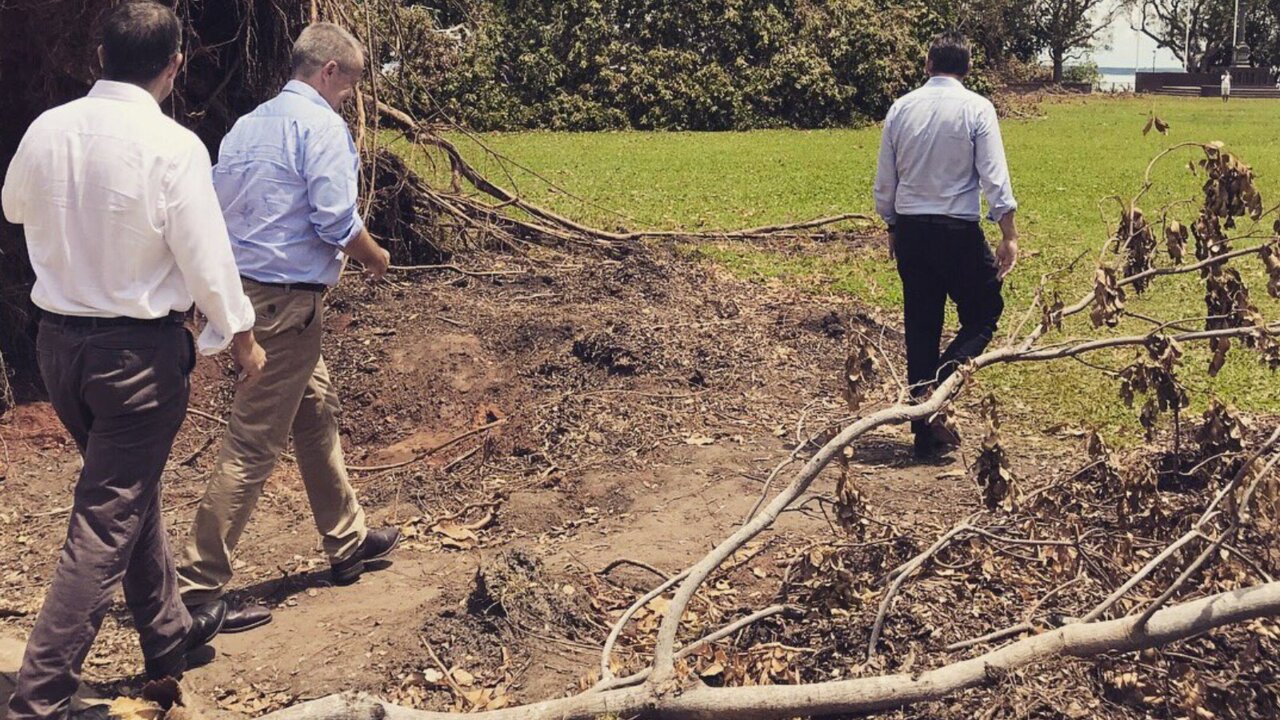 Australians would be shocked by Cyclone Marcus devastation: Shorten