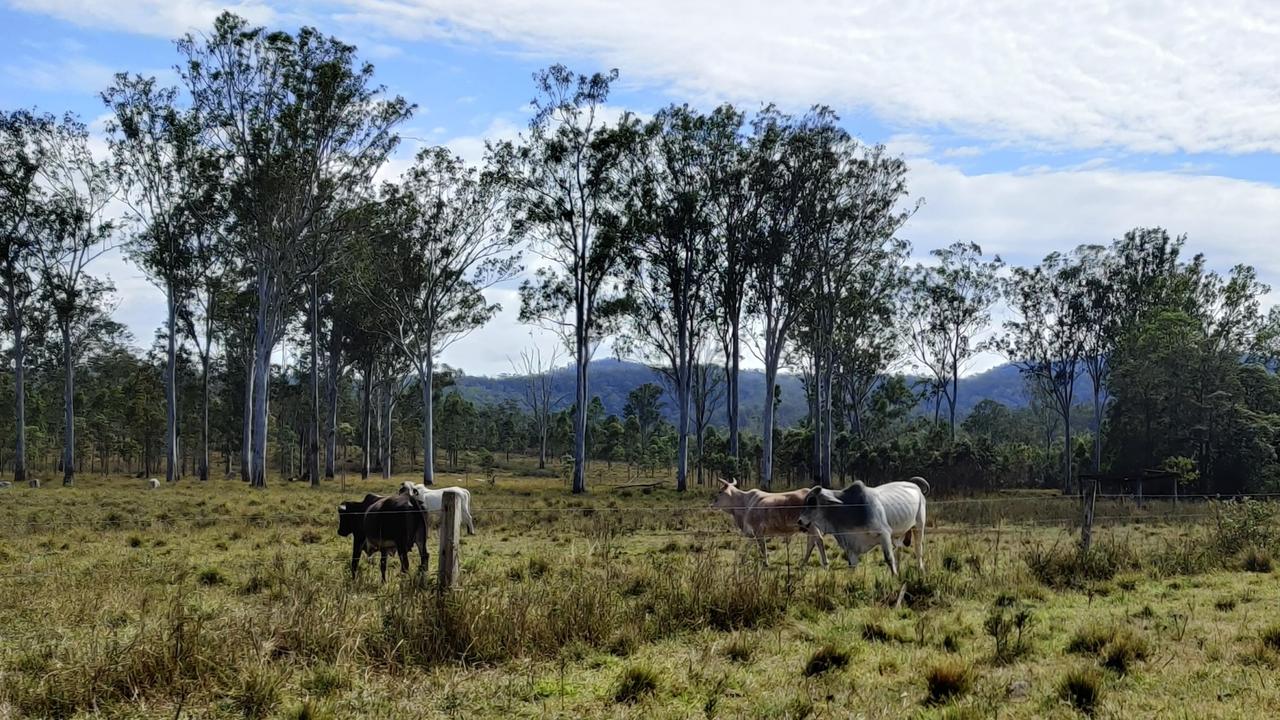 A picture of the proposed Chalumbin wind farm site, supplied by Epuron. The site is about 31,620ha about 10km southwest of Ravenshoe. Epuron says the 94 turbine wind farm would supply energy for 350,000 households. Picture: supplied.