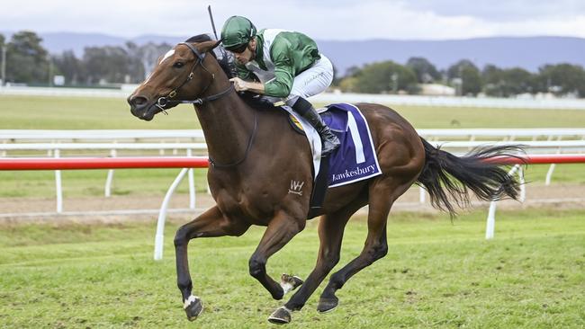 House Of Cards, pictured winning at Hawkesbury in September last year, is Mitch Cohen's best bet of the day at Warwick Farm on Wednesday. Picture: Bradley Photos