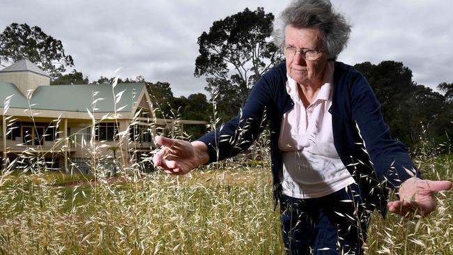 ... but by early last summer had become overgrown and unkempt, prompting bushfire concerns from residents like Judith Mair. Picture: Tricia Watkinson