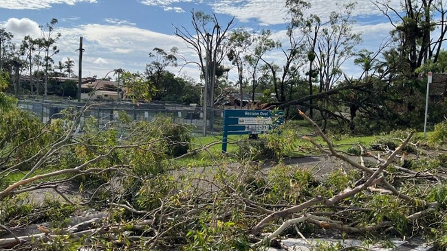 Trees littering Discovery Dr in Helensvale on Boxing Day 2023. Picture: Keith Woods.