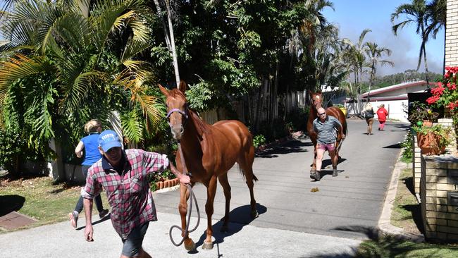 Residents evacuate horses from their home as a bushfire approaches Corbould Park Racecourse in Caloundra. Picture: AAP/Darren England