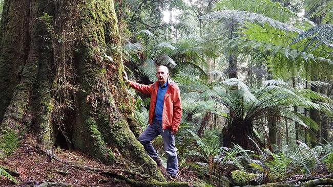 Bob Brown's foundation is currently blockading a China state-owned company, which is building a waste dump in Tasmania’s Tarkine rainforest.