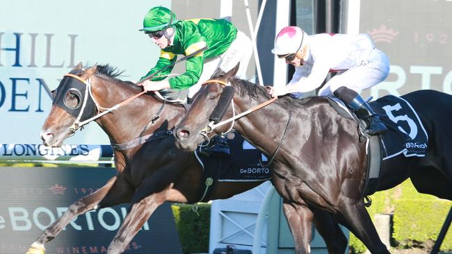 Golden Rose and Caulfield Guineas winner, Ole Kirk (green), has claimed the Champion Three-Year-Old Colt or Gelding award. Picture: Grant Guy