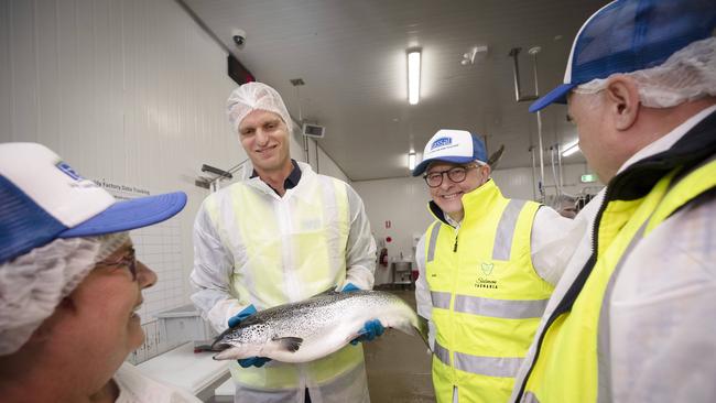 Senator Anne Urquhart, Tassal head of supply chain and strategy Hamish Sutton, Prime Minister Anthony Albanese and Brian Mitchell MP tour the Tassal processing facility at Barretta. Picture: Chris Kidd