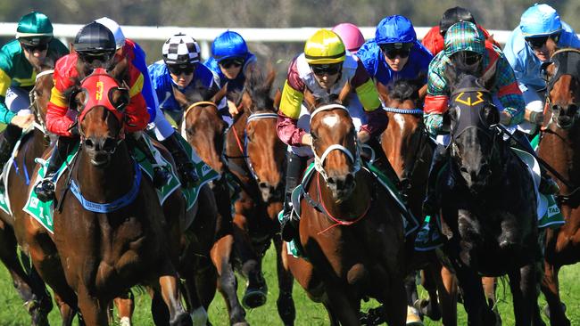 Loving home ridden by Tye Angland  (yellow cap, maroon with yellow armbands) wins race 1 during Scone  Races located in the Upper Hunter Region of NSW. The Bend . Pic Jenny Evans