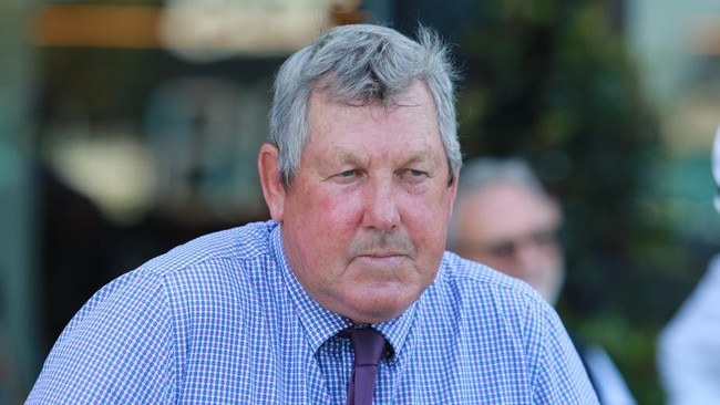 Trainer Gary Colvin has high hopes for the Albury bound youngster Party Boss. Picture: Grant Guy