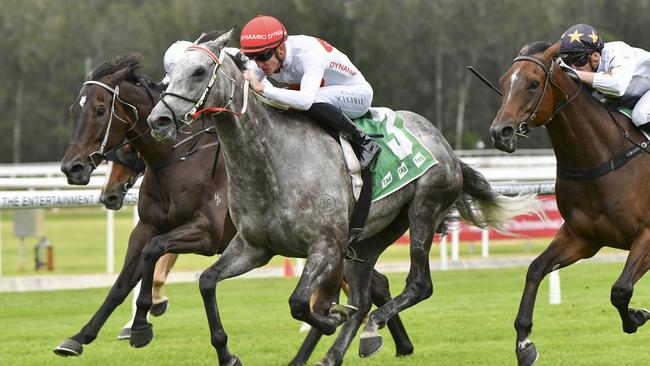 Getting back to his ideal distance can see Jack Duggan return to winning form. Picture: Bradley Photos