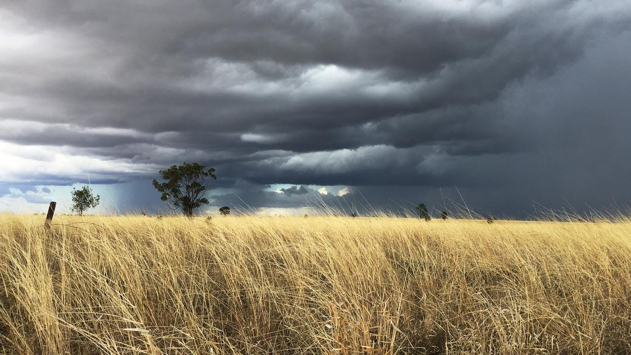 RAIN ON THE WAY: Storms are expected in the Darling Downs this week.