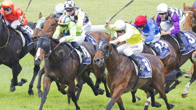 Miss Debutante (yellow) wins race 4 during Scone Races. Scone, "The horse capital of Australia", is located in the Upper Hunter Shire in the Hunter Region of New South Wales. Pic Jenny Evans