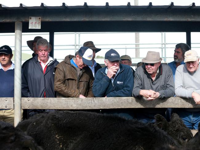 Warrnambool stock agents association president Anthony Mahney said strong competition came from the south east of South Australia and locally, as well as the north east and Gippsland. Picture: Andy Rogers