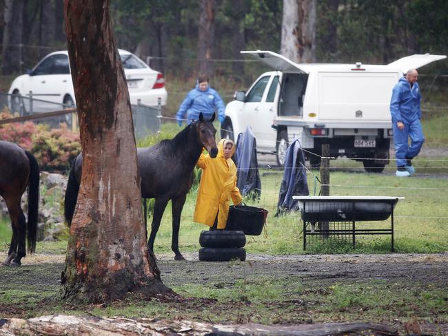 Julene Thorburn feeds horses at her Chambers Flat property, as forensic police continue to scour the scene for clues about Tiahleigh Palmer’s alleged murder. Picture: Tara Croser