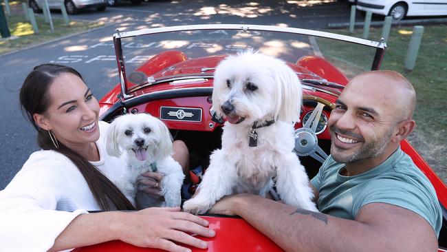 Dan Argent and Emily Robinson take the dogs for a spin in their 1960 MGA on Sunday. Picture: Lyndon Mechielsen