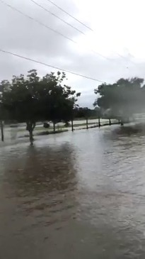 Horses trapped by floodwater on Gold Coast