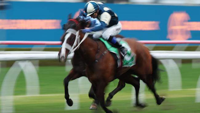 Pure Alpha wins at Randwick on July 6. Ray Thomas has made the Chris Waller-trained gelding, to be ridden by James McDonald, his best bet of the day at Rosehill on Saturday. Picture: Jeremy Ng / Getty Images