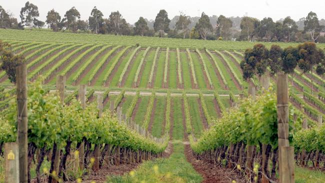 If all else fails, head to McLaren Vale, south of Adelaide.