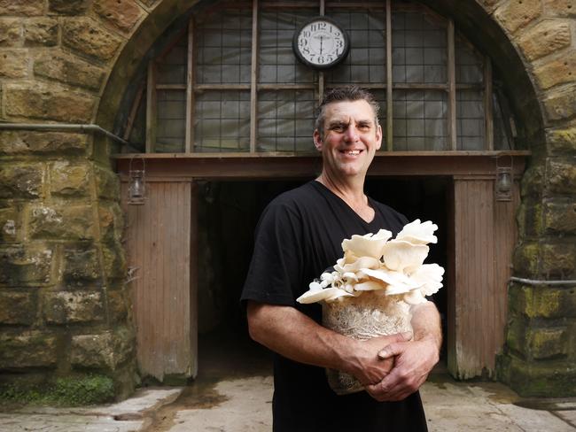 Dean Smith owner of Tunnel Hill Mushrooms at Cambridge that have plans for expansion.  Picture: Nikki Davis-Jones