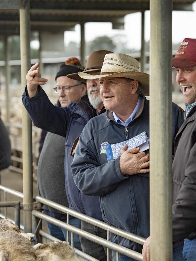 Mutton prices are sitting around five-year average levels.