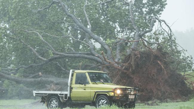 A pick-up truck next to an up-ended tree after Tropical Cyclone Marcus hit Darwin on Saturday. Picture: AAP