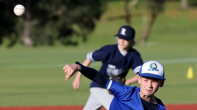 Junior baseball spread - Deakin Blues v Guild-Lara.  Picture: Mike Dugdale