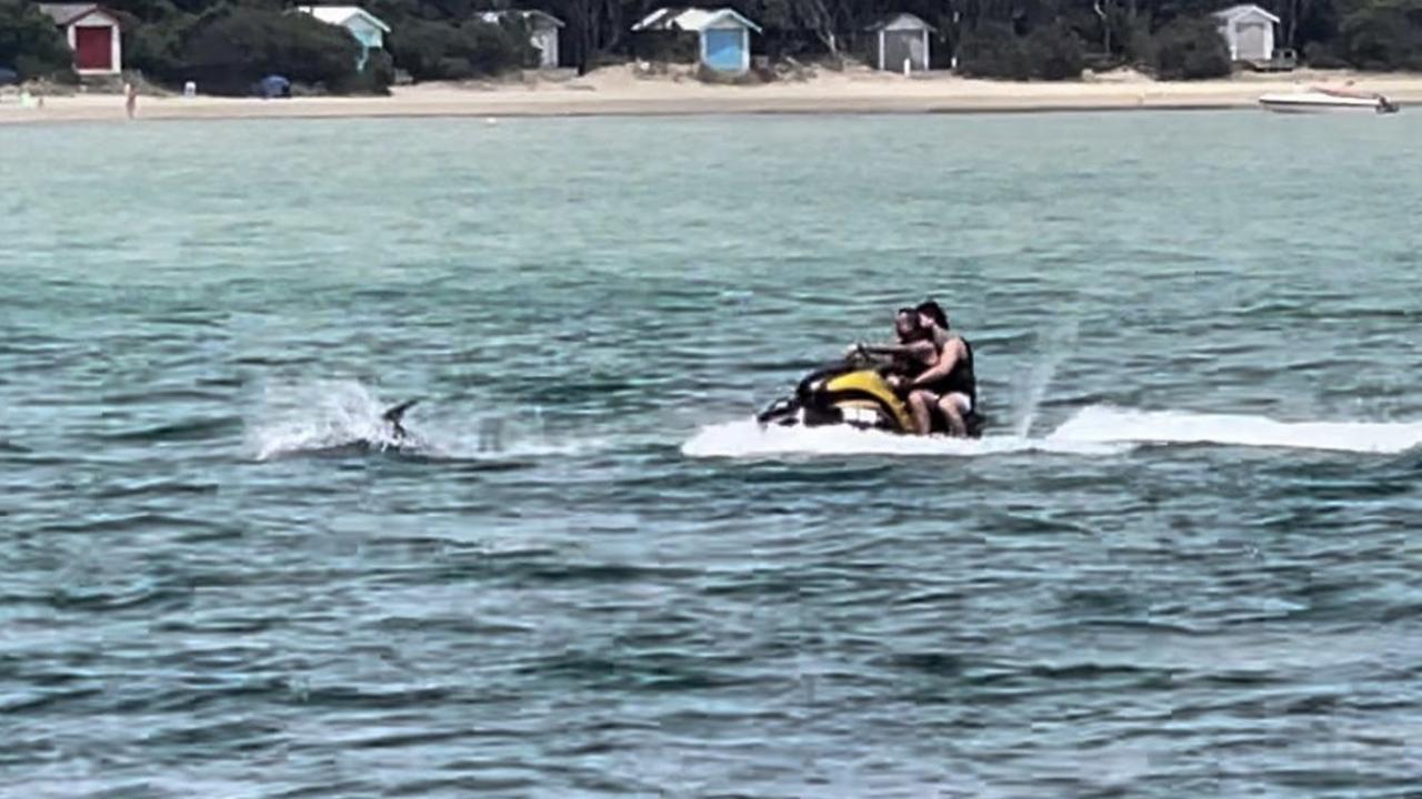 Two men on a jet ski have been blasted online after a video showed them ‘chasing’ dolphins. Picture: Jessica Beckham/Instagram