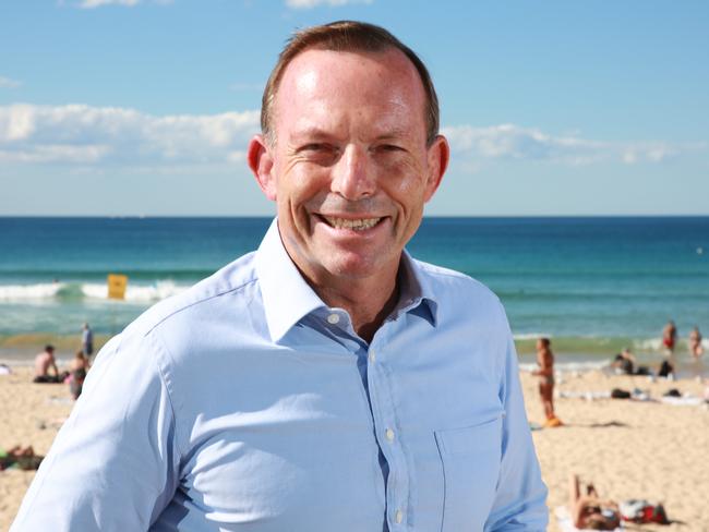 Tony Abbott has held the seat since 1994. Picture: Mark Scott