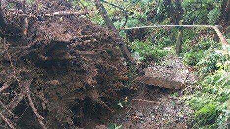 More than 150 trees fell over the track during the storm.