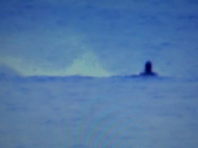 Still grab taken from video showing Navy Diver Paul de Gelder as he is attacked by a Bull shark in Sydney Harbour. Video ADF