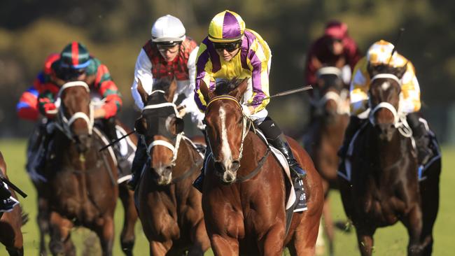 Rebel Rama is worth another chance according to Ron Dufficy. Picture: Getty Images