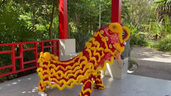 CADCAI lion dances