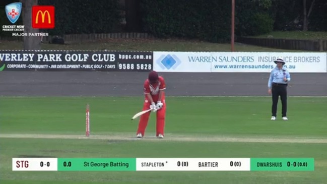 Replay: NSW Premier T20 cricket - St George vs Sutherland