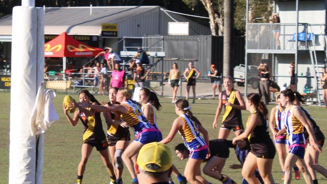 The Northern Rivers Tigers had another successful round.