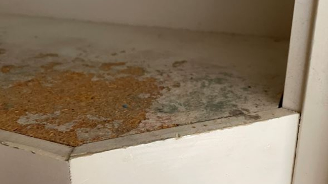 Drips, leaks and moisture on the walls can exacerbate mould issues.