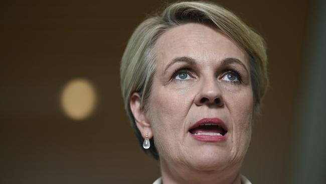 Environment Minister Tanya Plibersek was not swayed by Bowen’s scientific theory. Picture: NCA NewsWire / Martin Ollman