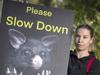 REVEALED: Tasmania’s 10 worst roadkill hot spots