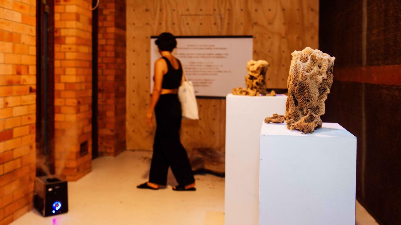 A smell-based exhibition "Catching A Whiff: Olfactory Ecologies" curated by Lowana Davies. Picture: Warwick Gow