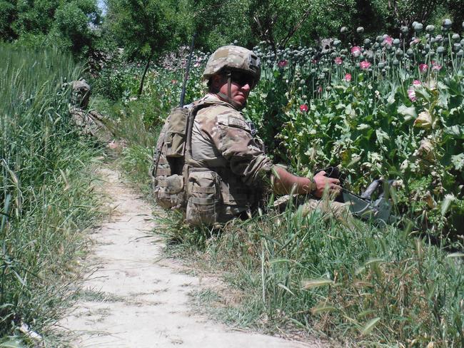 Surrounded by a field of poppies in Afghanistan, Australian Army engineer Tyson 'Pottsy' Potter in 2013. Picture: supplied