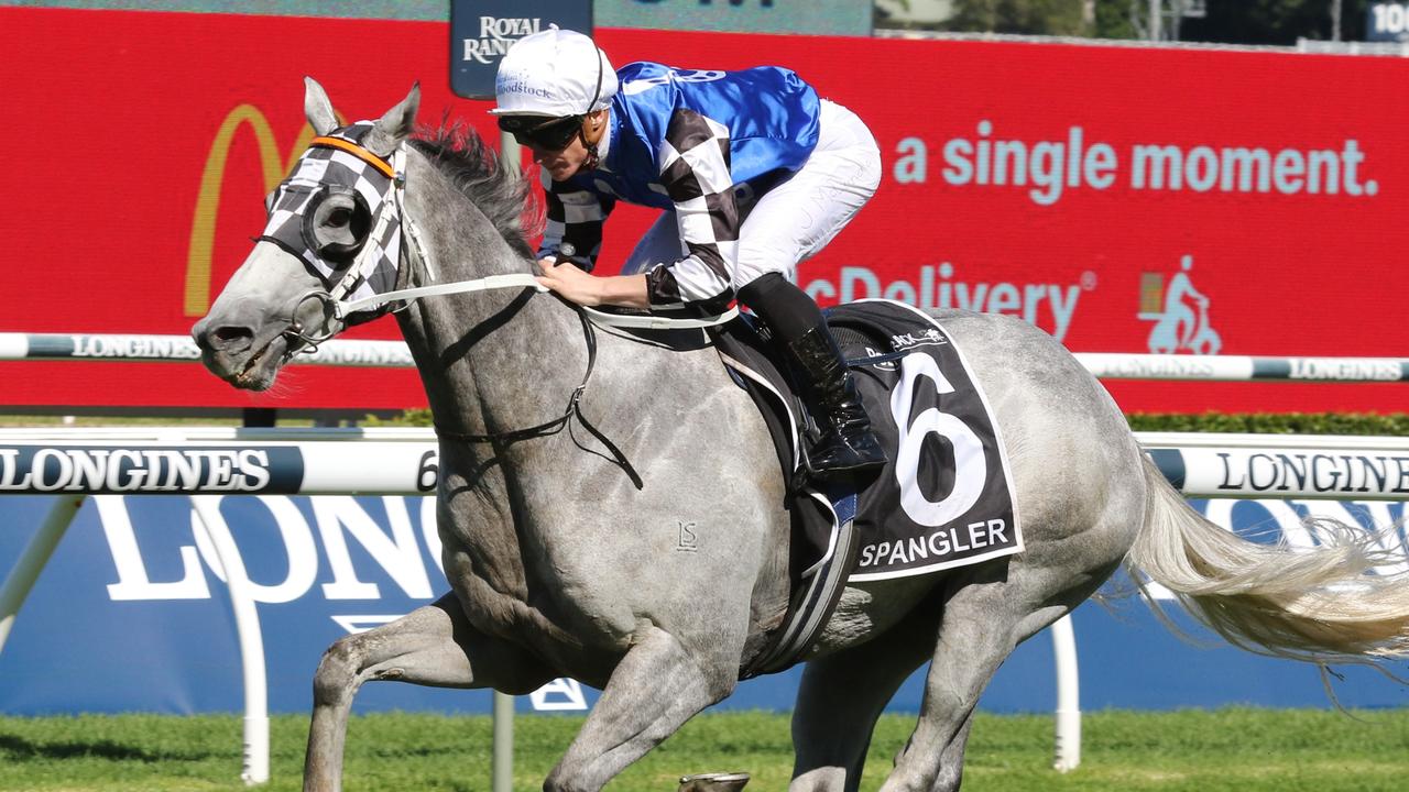 Spangler can run a race at big odds if he gets a start in the Alan Brown Stakes on Saturday. Picture: Grant Guy