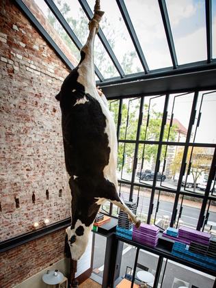 Outrage or reality? Schvitzy the cow hangs from the ceiling at Etica Pizza Restaurant in Adelaide’s CBD. Picture: Matt Turner