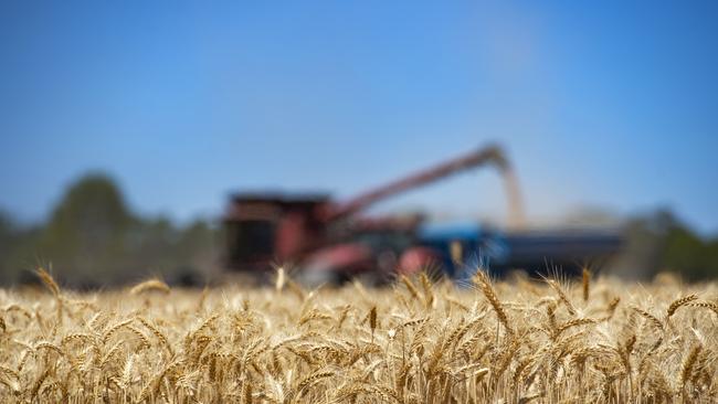 The prospects of a third bumper harvest and high prices as a result of the war in Ukraine has grain growers the most optimistic in the rural sector. Picture: Zoe Phillips