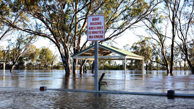 The flooding Murray at Berri. Picture Dean Martin