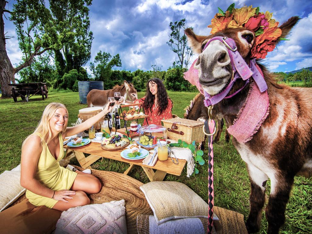 Tahlia Bailey and Zhanae Woods enjoy a donkey picnic with Clancy, Matilda, and Maple at The Bearded Dragon Hotel in Mount Tamborine. Picture: Nigel Hallett