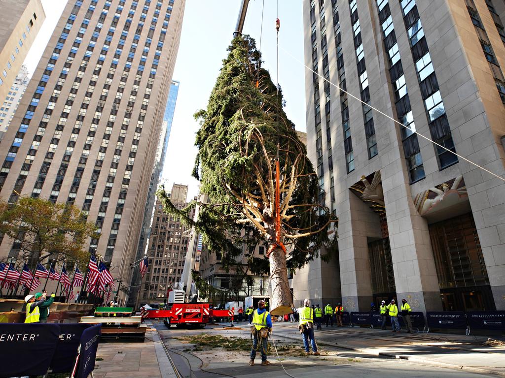 The Rockefeller Centre Christmas tree being craned into place on November 14, Picture: Cindy Ord/Getty Images