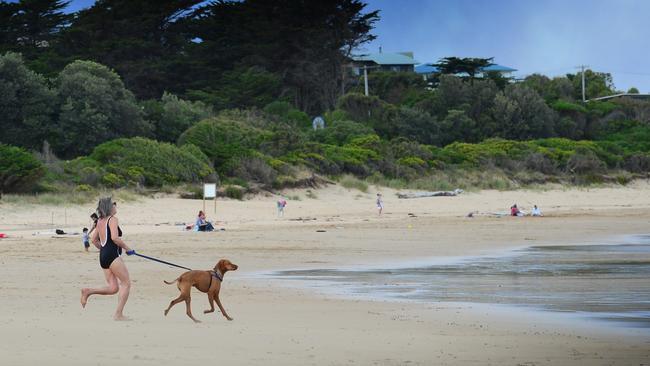 Cooling off at Lorne. Picture: Mitch Bear