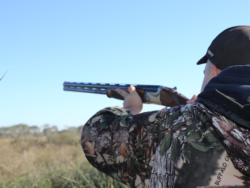 Duck season Victoria 2023 Shooting ban being considered by Daniel